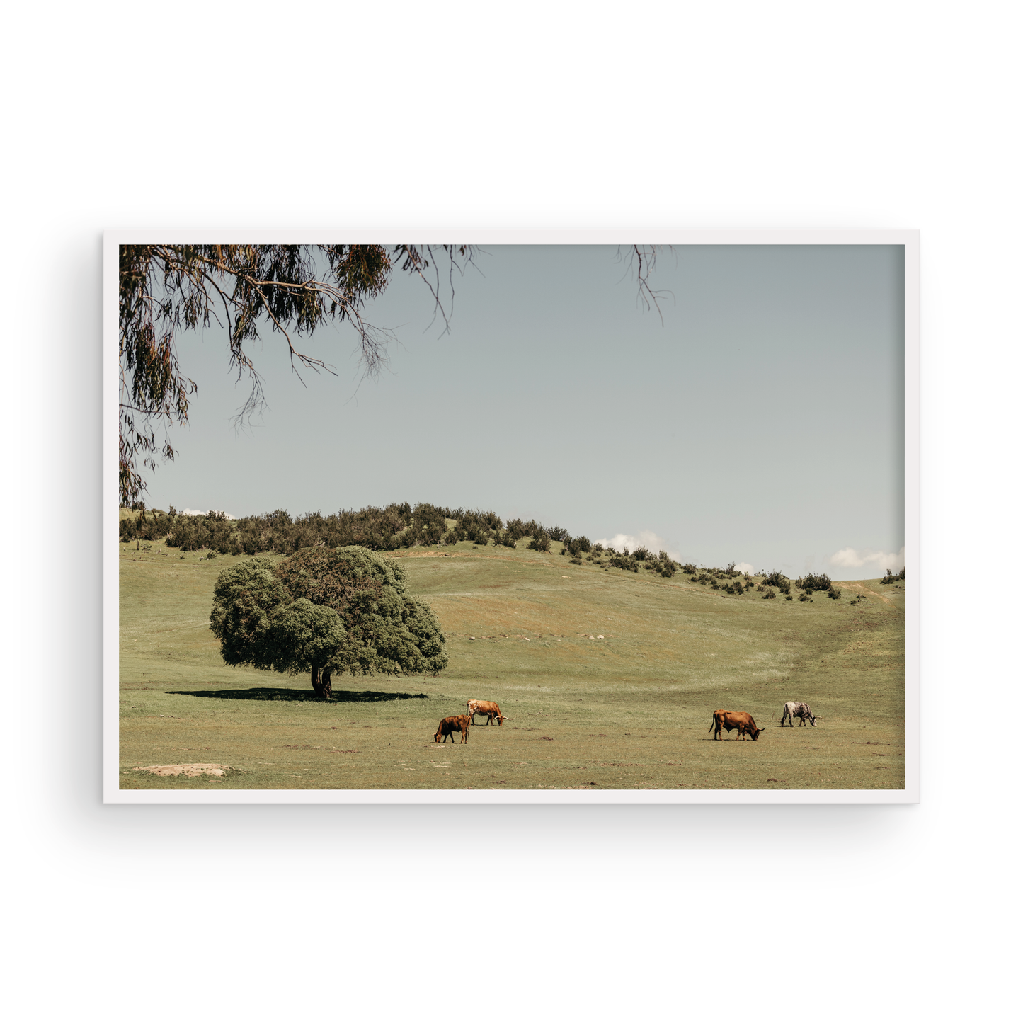 Paso Robles, Seven