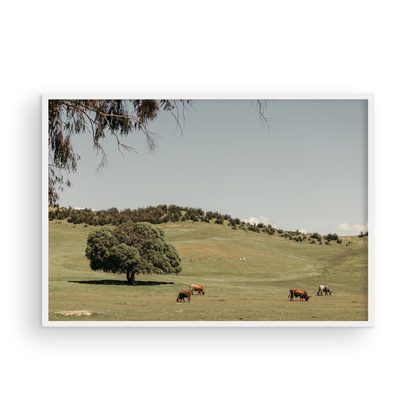 Paso Robles, Seven