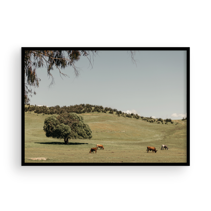 Paso Robles, Seven