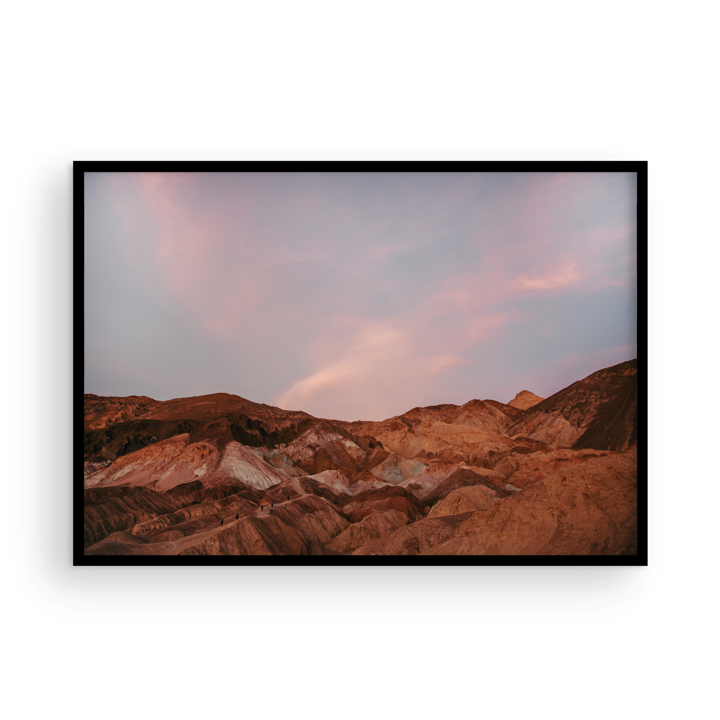 Artist Palette
