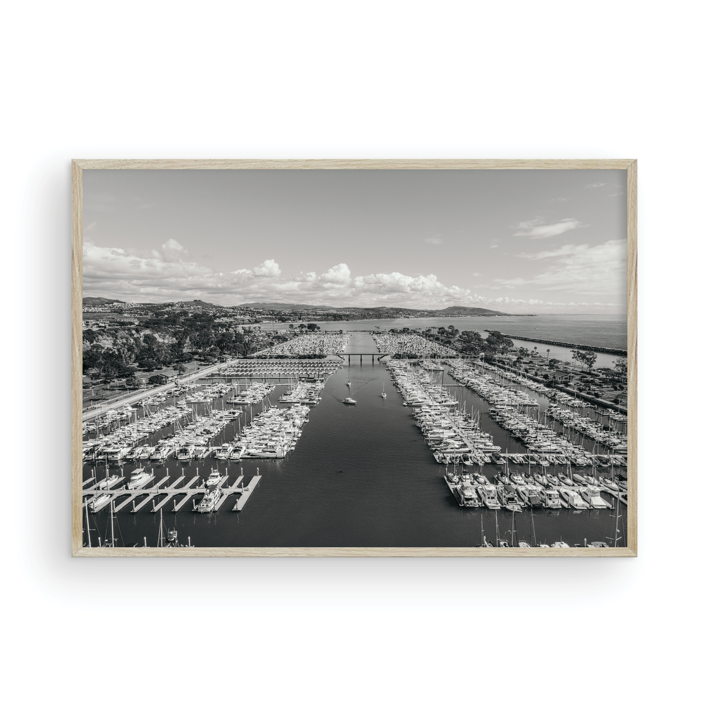 Dana Point Harbor, Ten: Monochrome