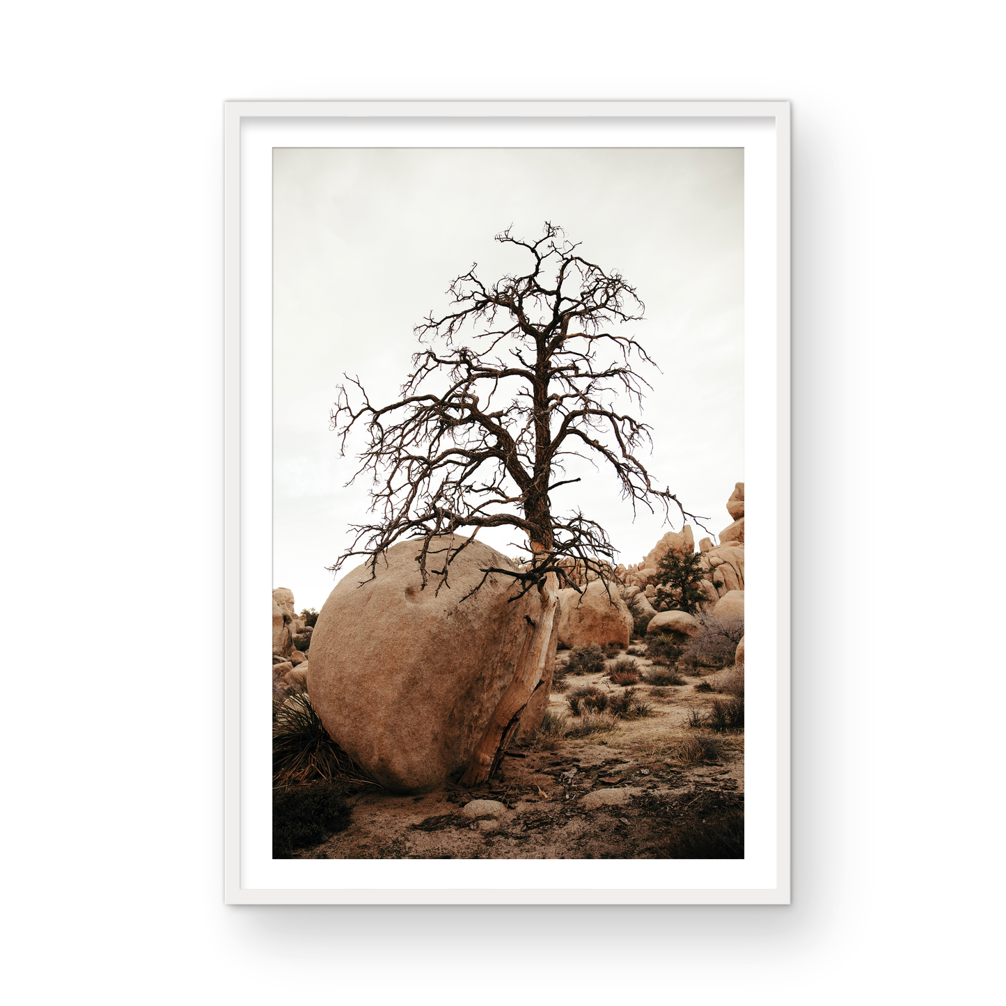 Joshua Tree, Four