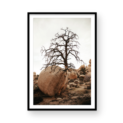 Joshua Tree, Four