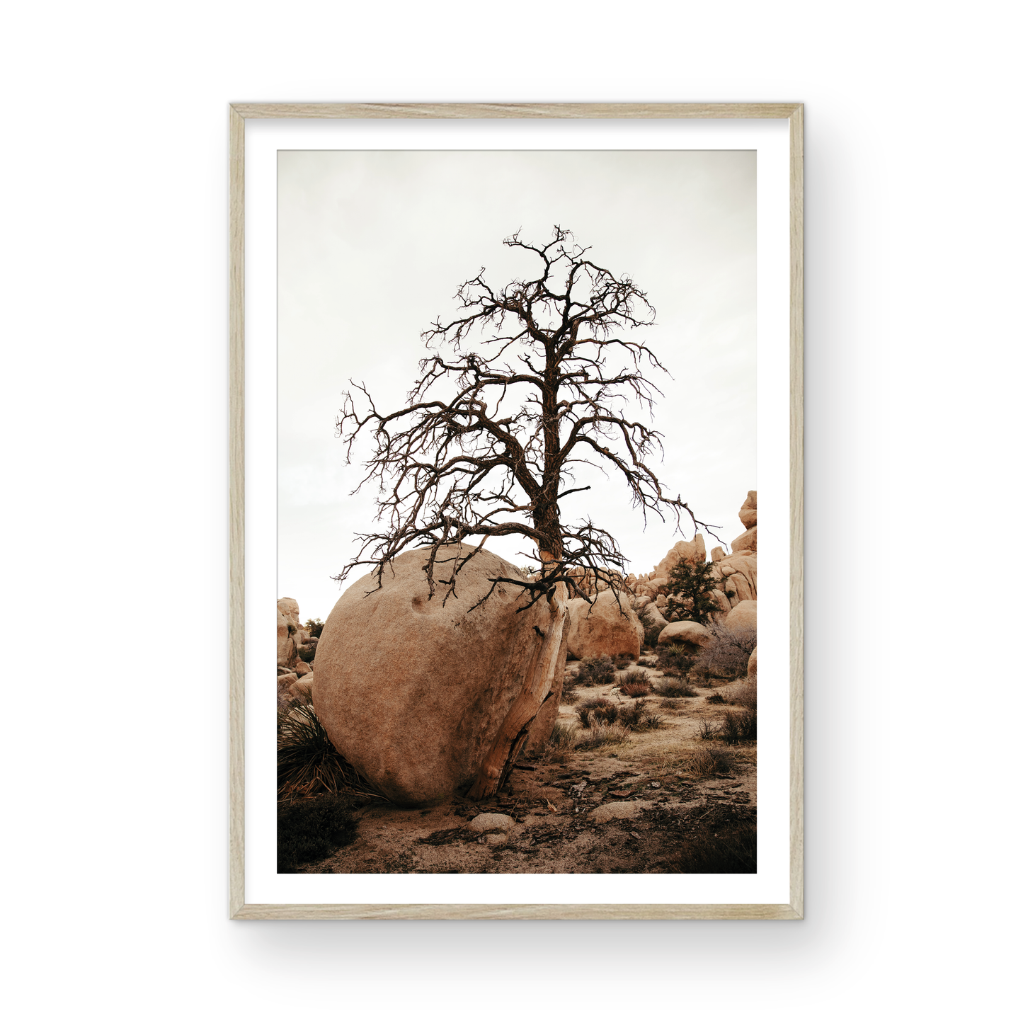 Joshua Tree, Four
