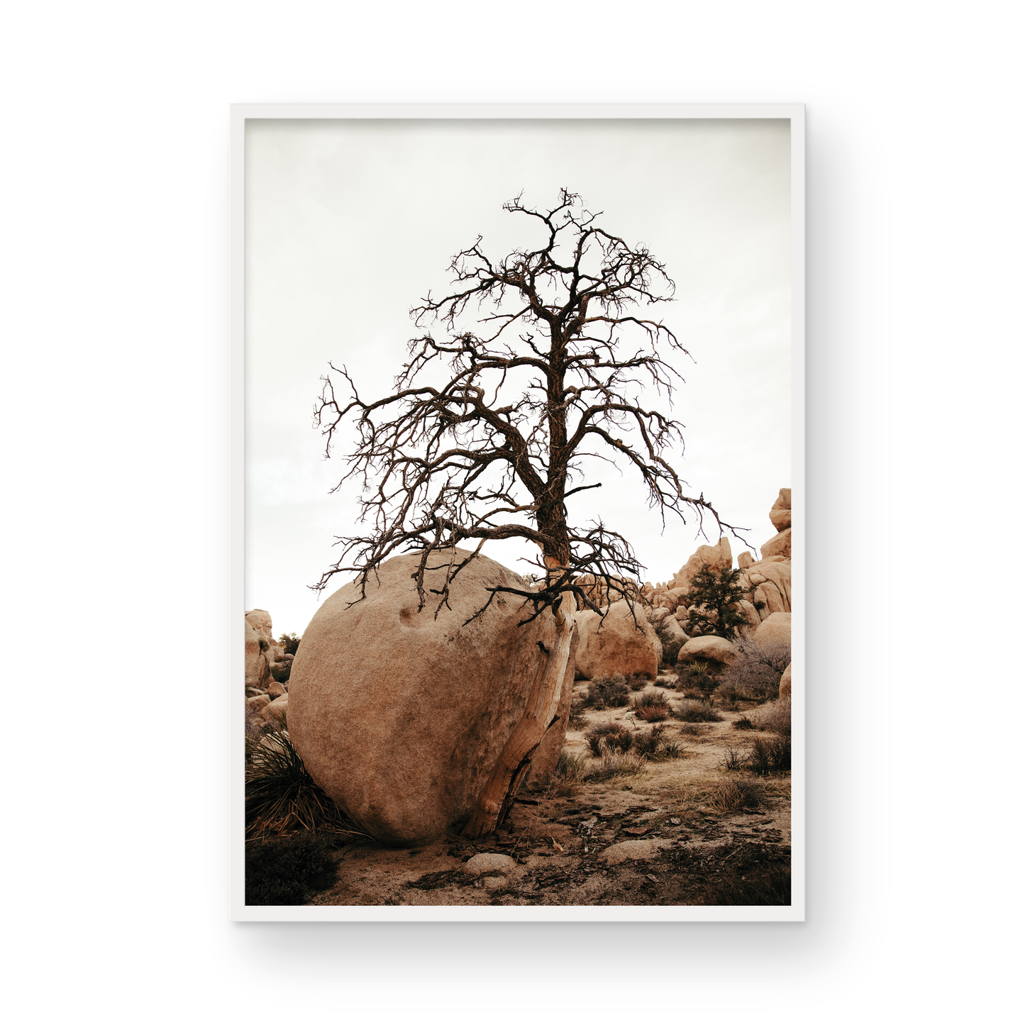Joshua Tree, Four