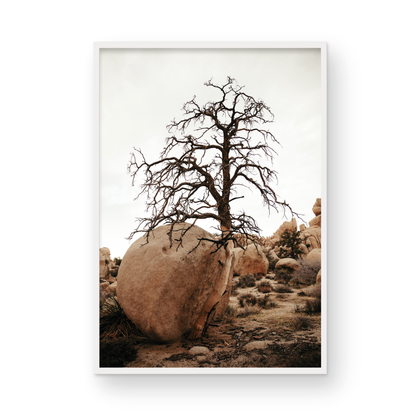 Joshua Tree, Four