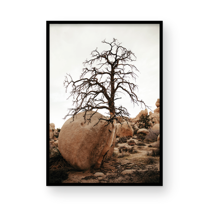 Joshua Tree, Four