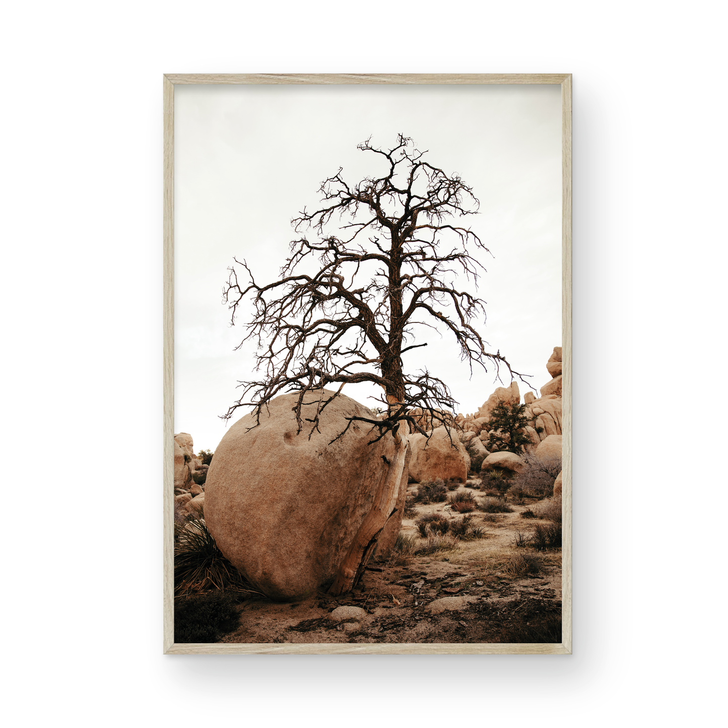Joshua Tree, Four