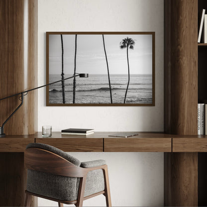 T-Street, Five: Monochrome