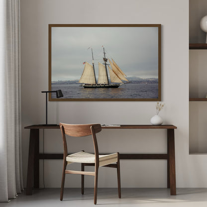 Tall Ships, One
