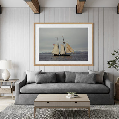 Tall Ships, One