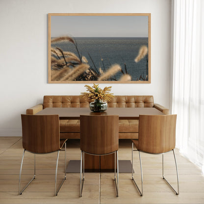 Corona del Mar coastal wall art by Sharon Williams