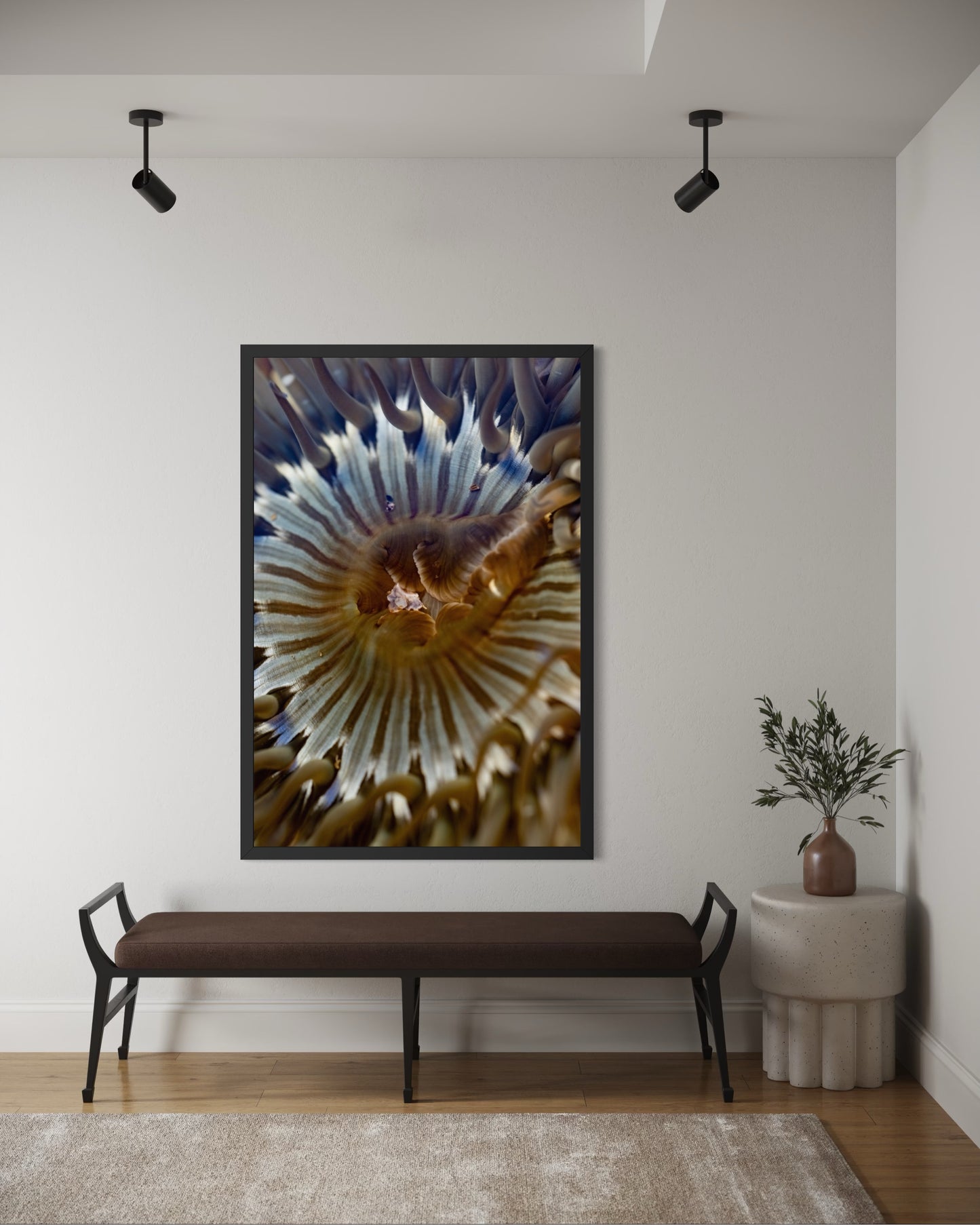 Anemone, Twenty-One