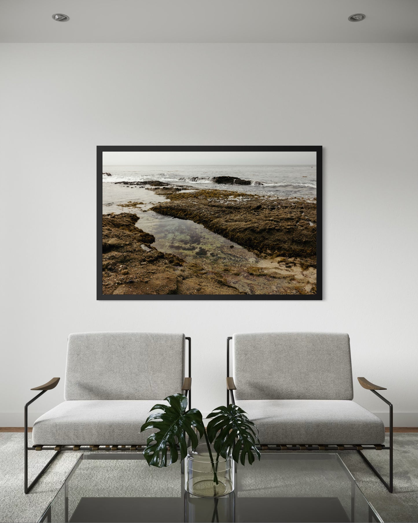Goff Cove, One