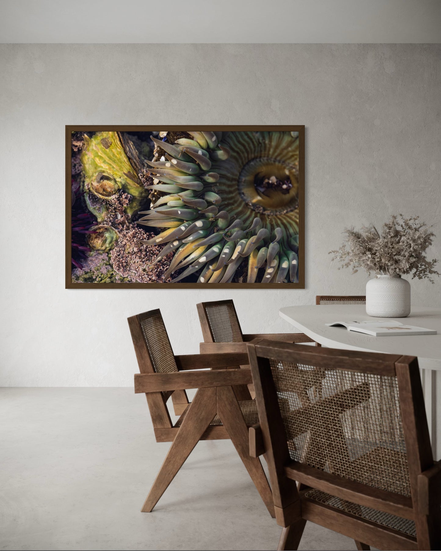 Anemone, Four