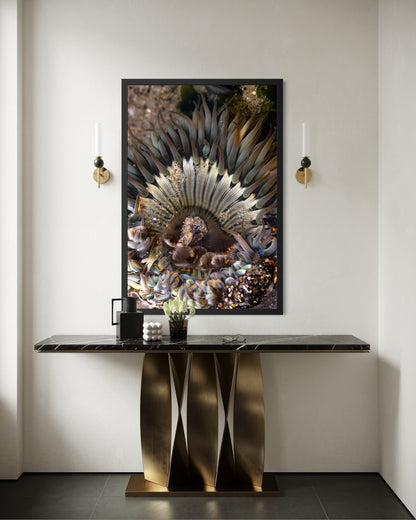 Anemone, Three