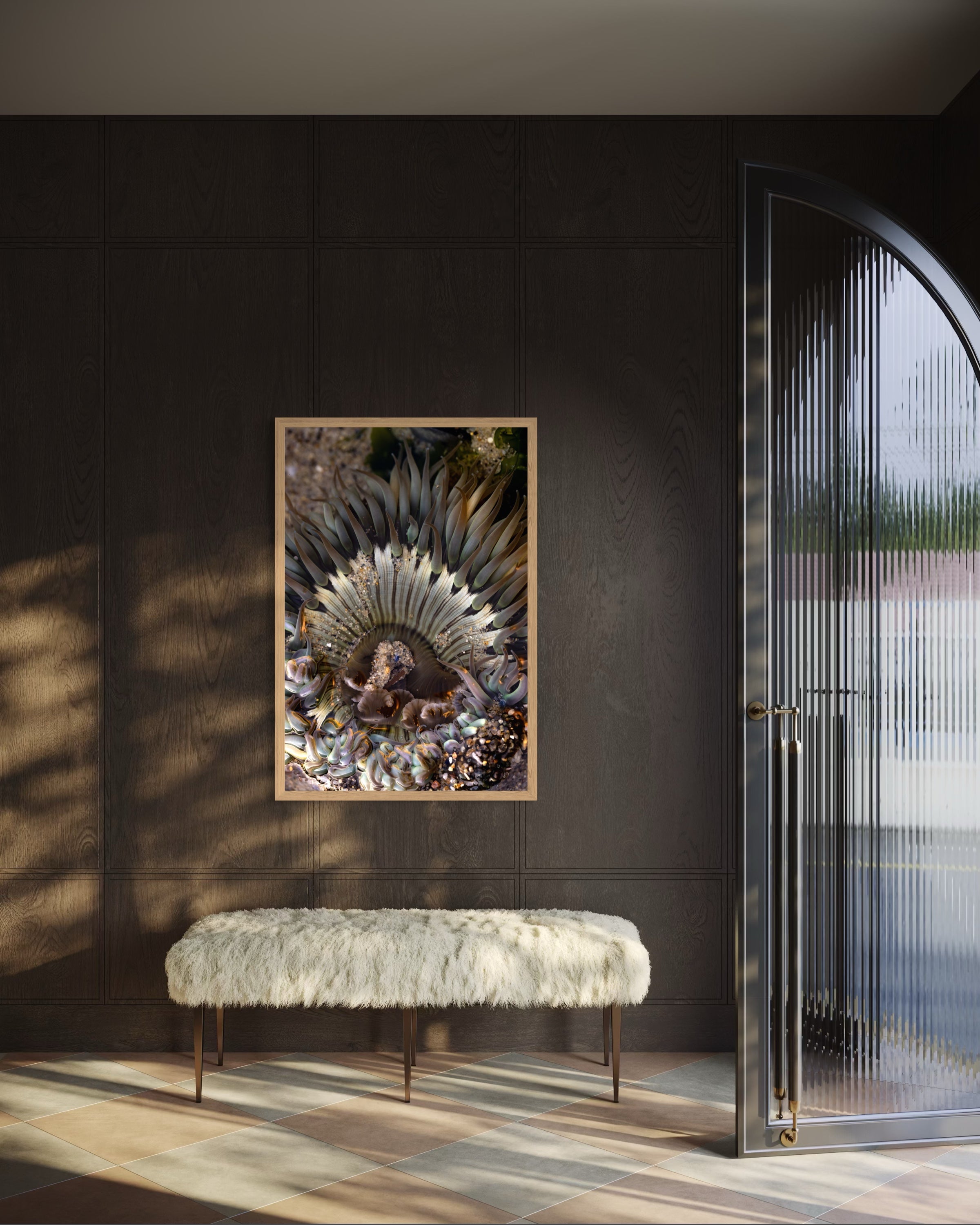 Anemone, Three | Fine Art by Sharon Williams – By Sharon Williams