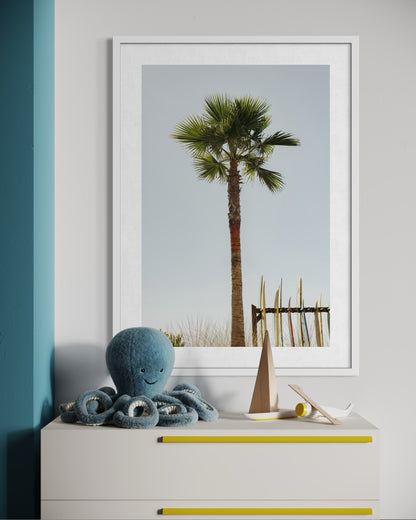 Coronado Island, One