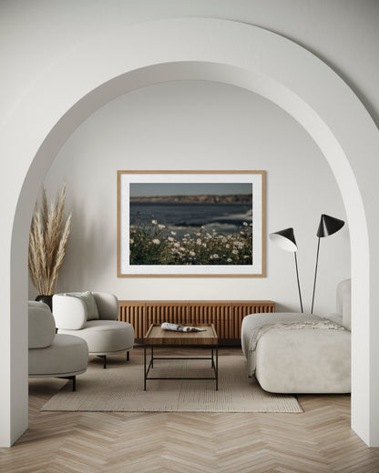 La Jolla Cove, Three