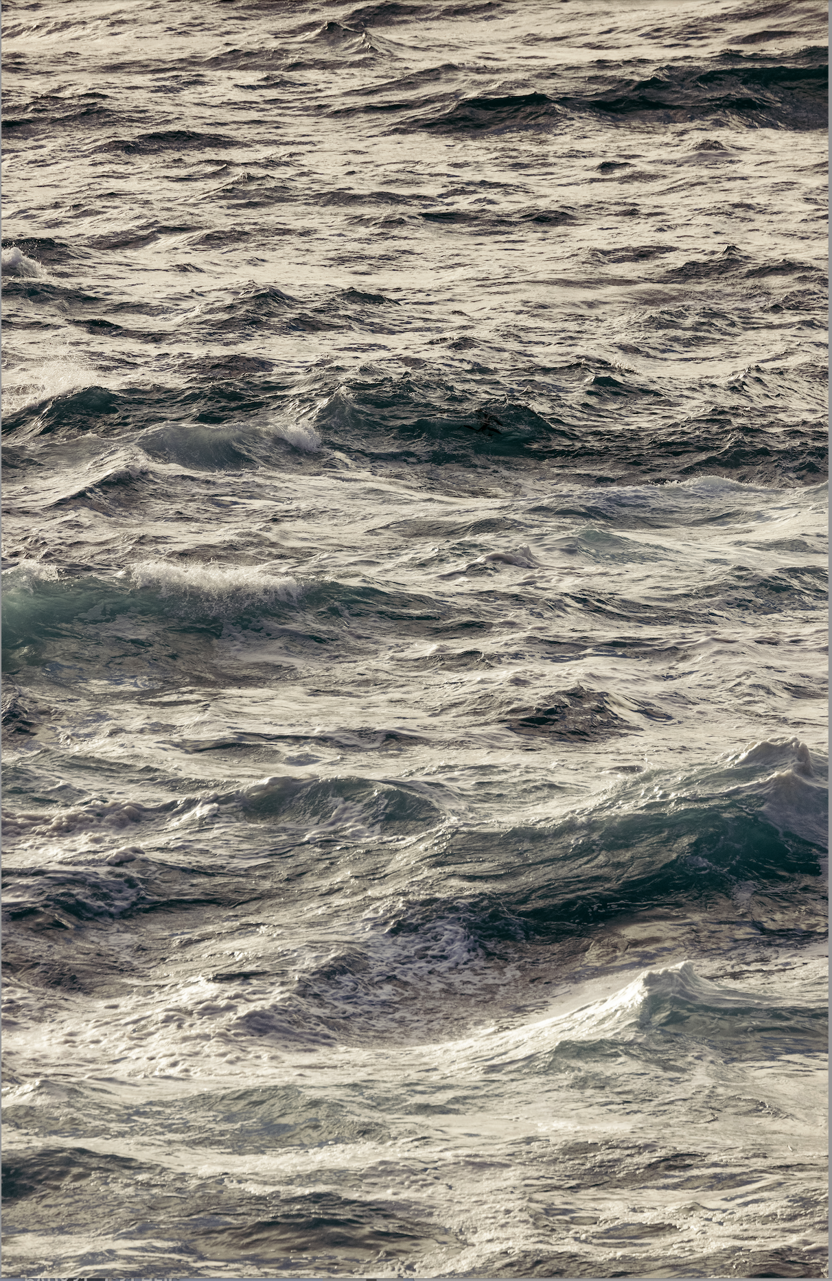 Winter Swell, Fourteen