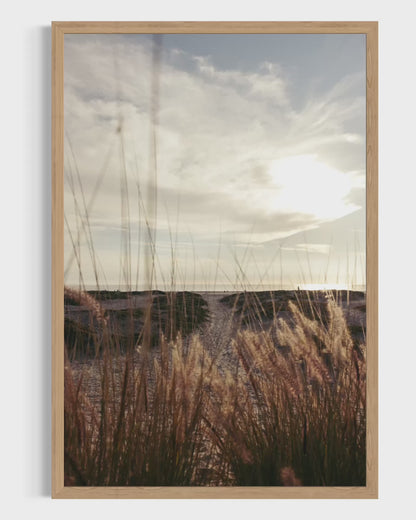 Coronado Island, Five