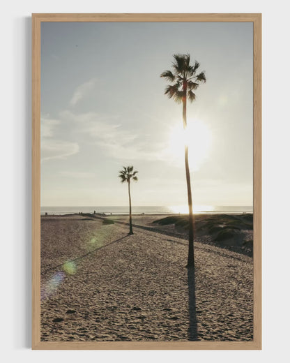 Coronado Island, Seven