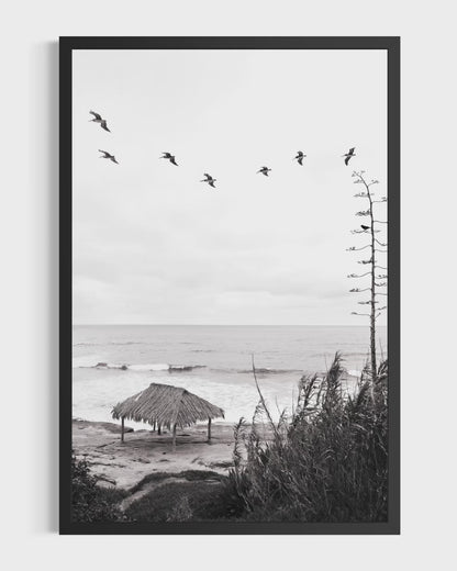 Windansea, Two: Monochrome