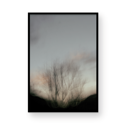Sunset in Zion, Six