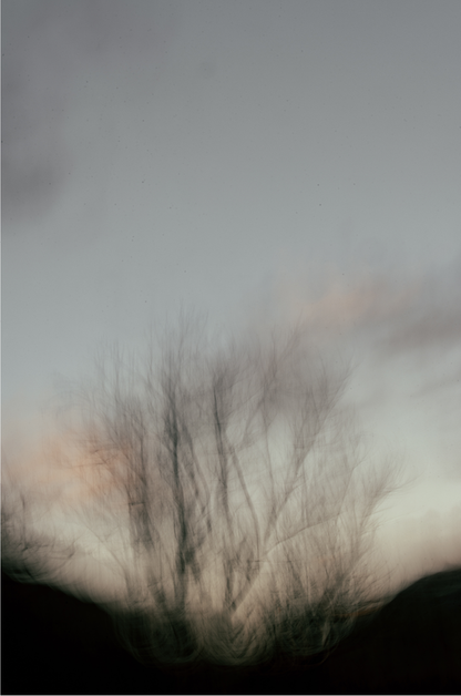 Sunset in Zion, Six