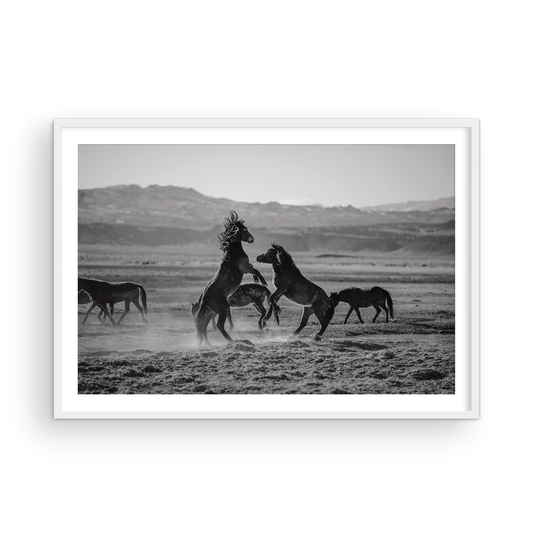 Wild Horses, One: Monochrome