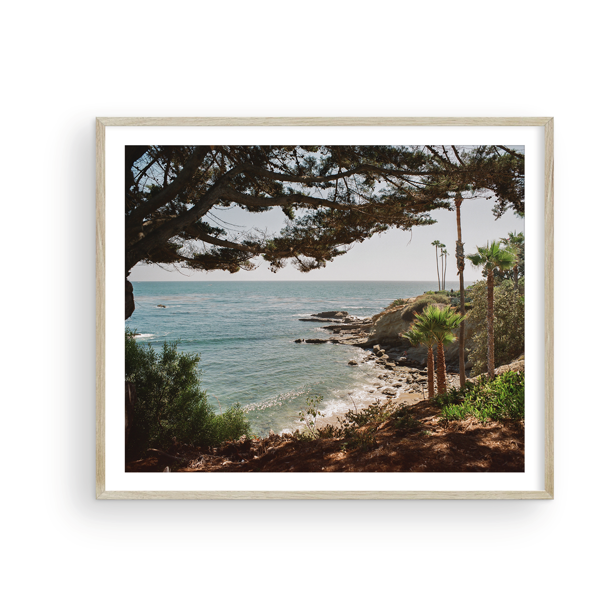 Laguna Beach, Fifteen: On Film