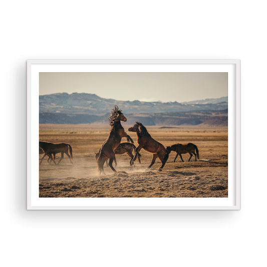 Wild Horses, One