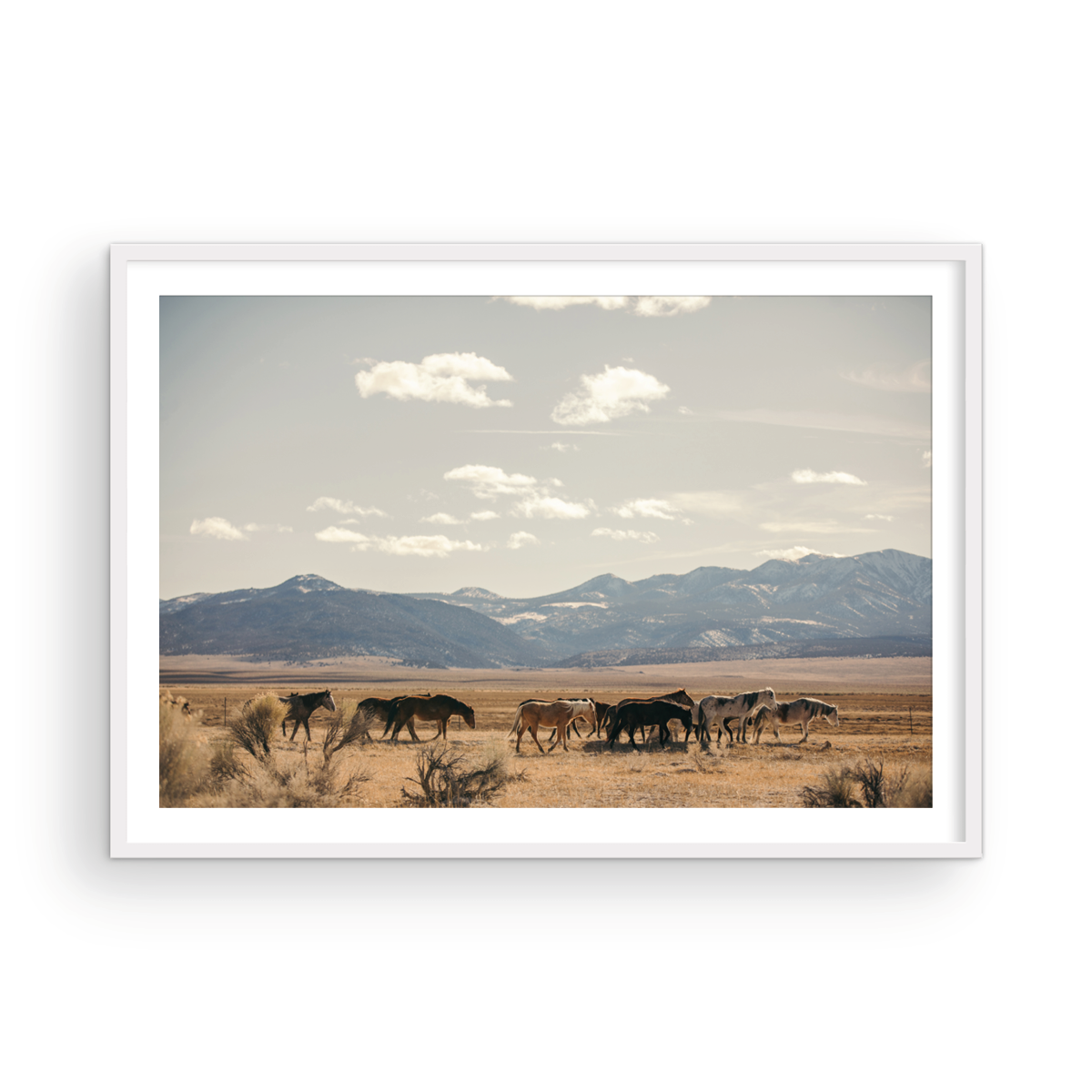 Wild Horses, Three