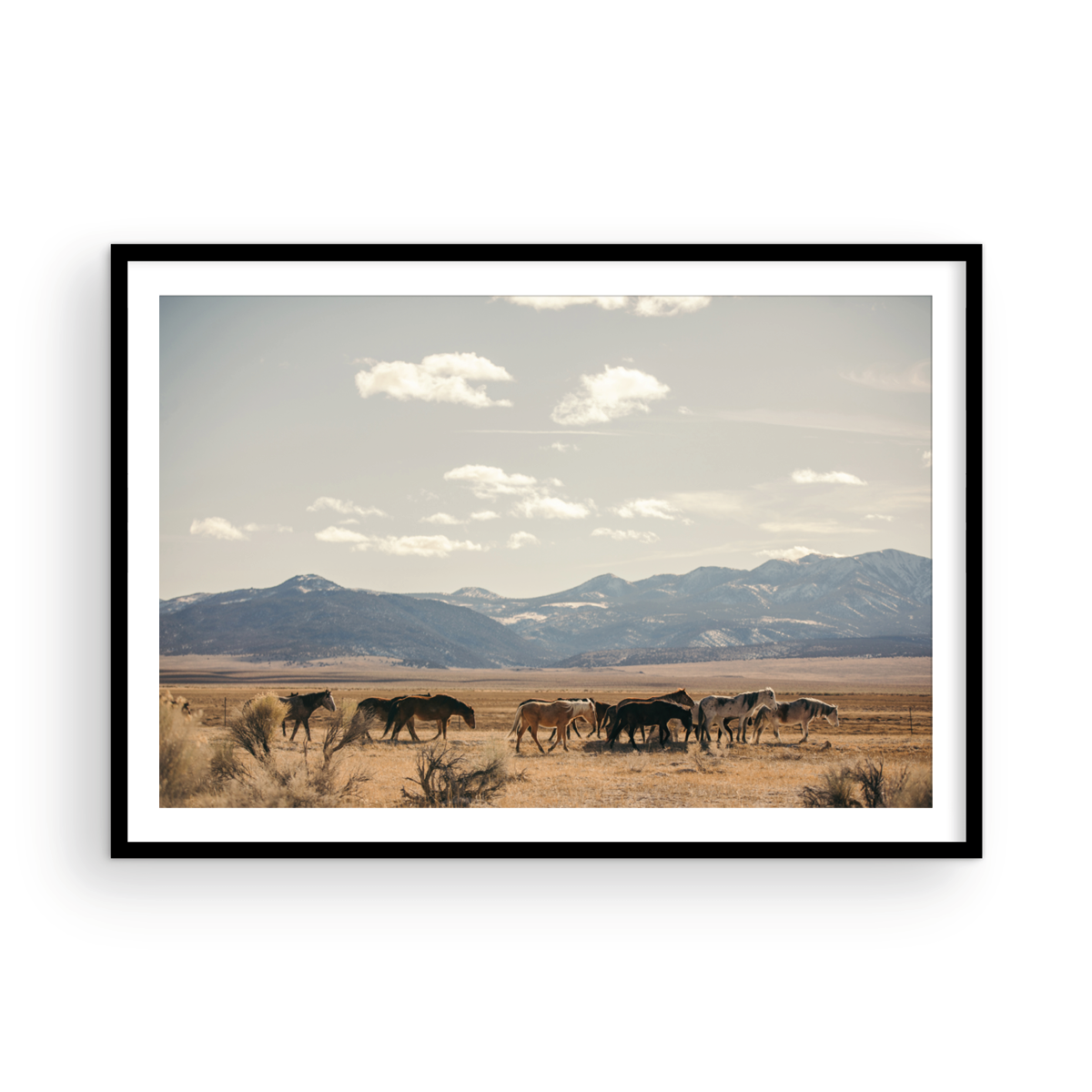 Wild Horses, Three