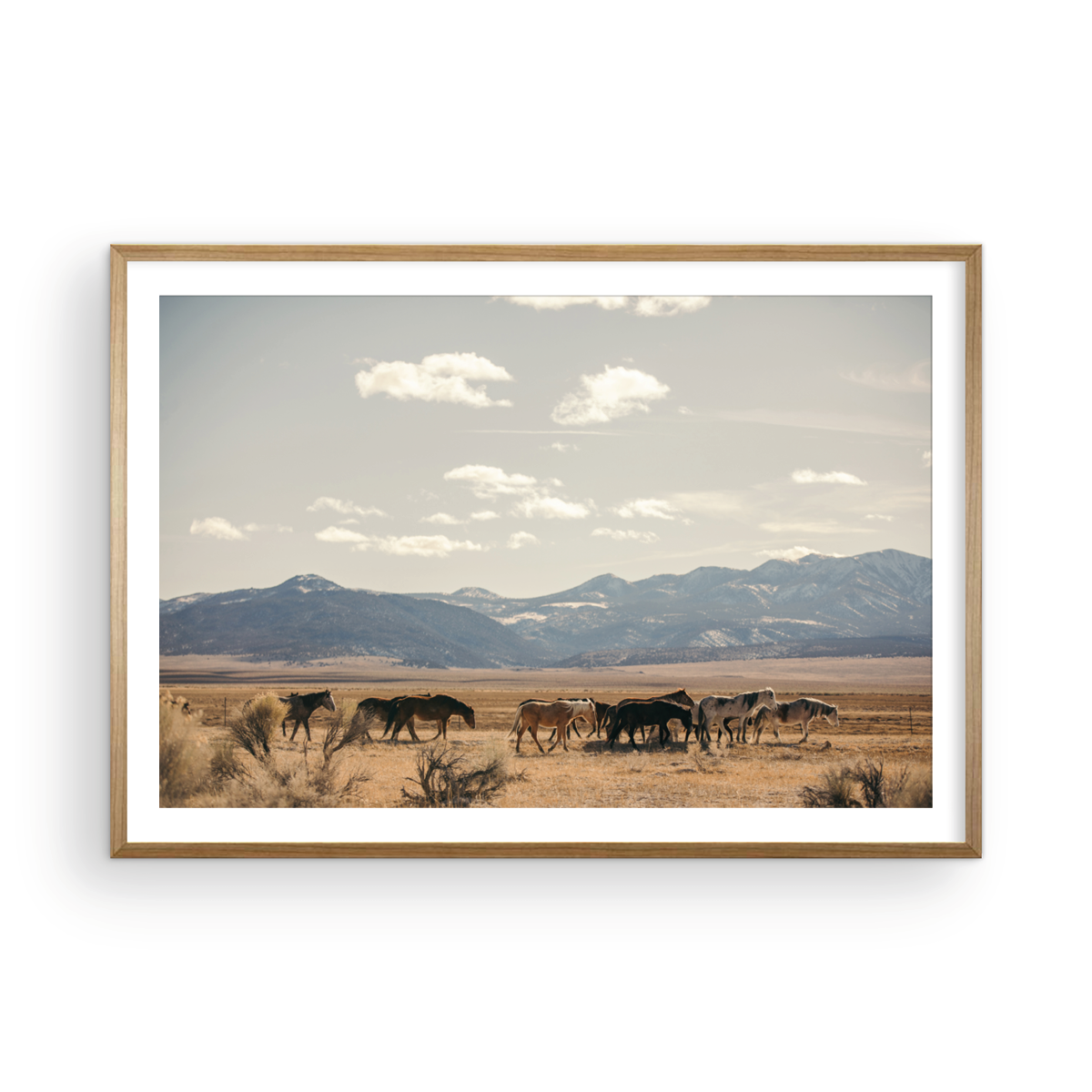 Wild Horses, Three