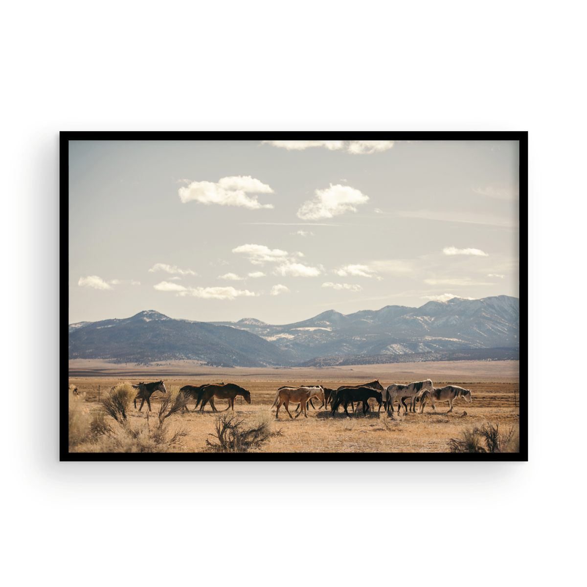 Wild Horses, Three