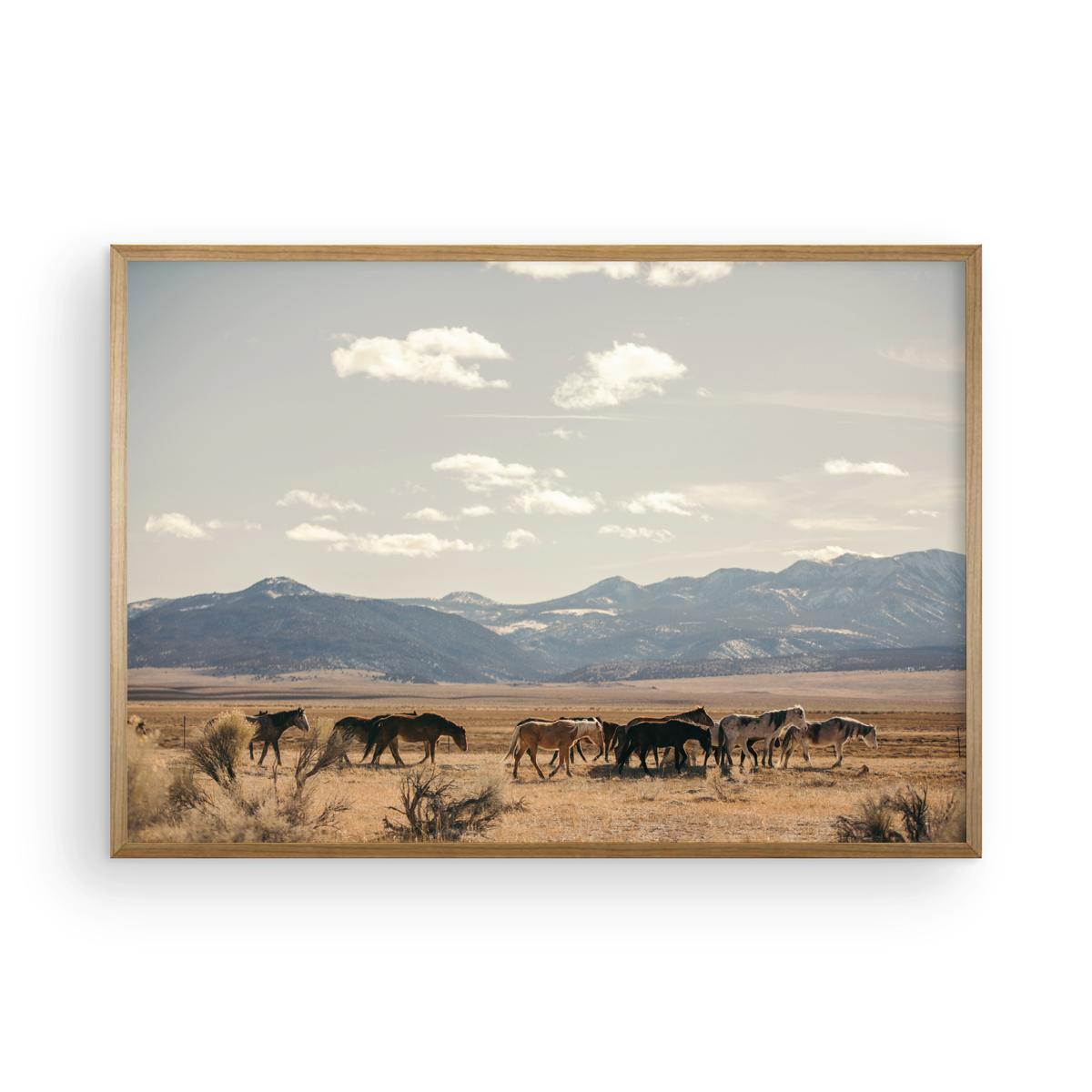 Wild Horses, Three